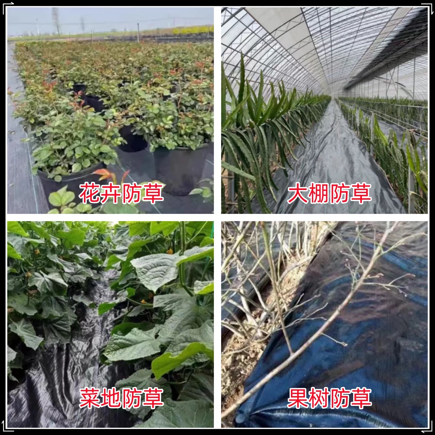 天门市货车苫盖膜防草布 - 排名