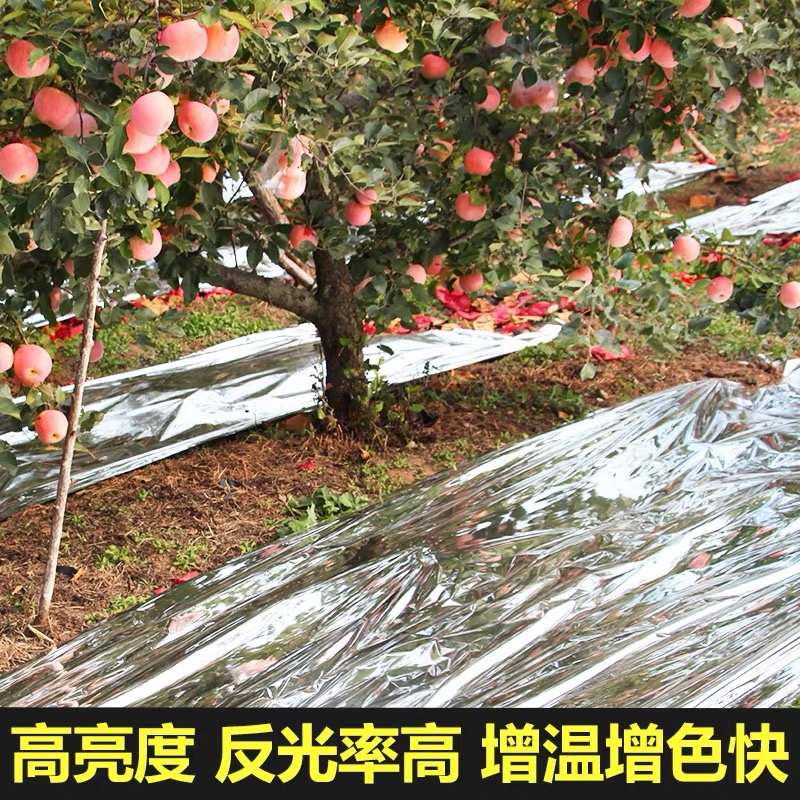 天门市塑料薄膜果树反光膜 - 一站式服务